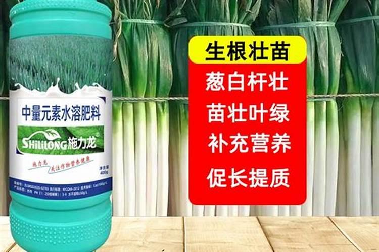 大葱苗期专用肥料,大葱中期用什么水溶肥？大葱叶面肥用昆仑风