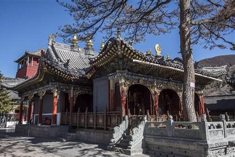 在温室大棚如何栽培薄皮甜瓜？种植过程中如何管理？