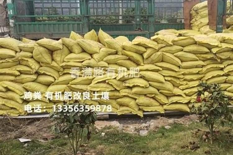 梨形身材的MM,怎么穿搭才显瘦显高