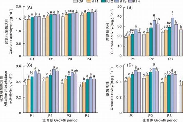 乳瓜的功效与作用是什么