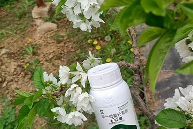 硅肥什么时候施最佳,不能和啥同时用