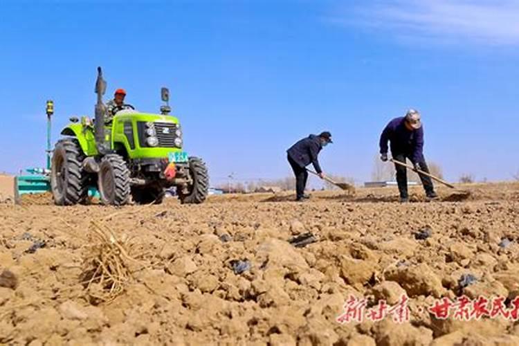 氯化铵会不会造成小麦烧苗