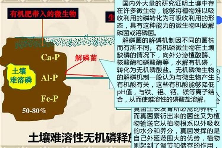 磷酸二氢钾有什么作用？它用于不同作物上,功效都一样吗？