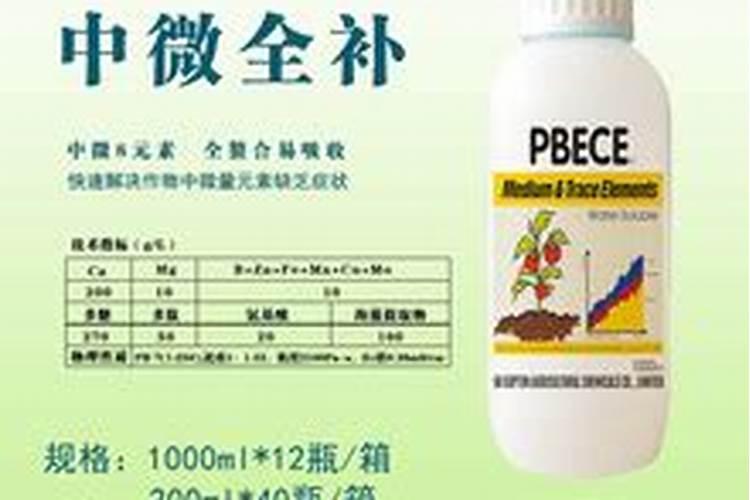 水溶肥厂家:蓝莓定植后怎么管理？