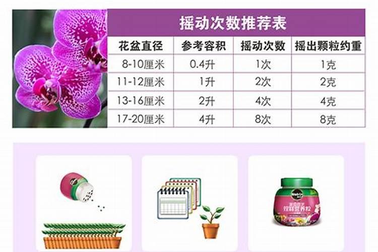 蝴蝶兰用什么肥料好,如何施肥,施肥注意事项