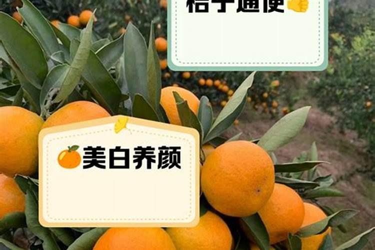 果树施用硅肥有哪些好处