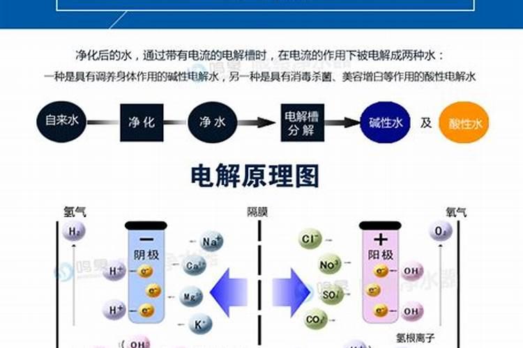 硝烟莠去津可以和禾悦钾含腐植酸水溶肥一起打吗