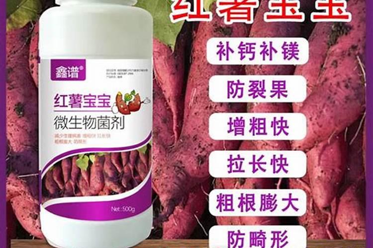 西甜瓜膨大增甜剂的成分是什么？有什么危害？
