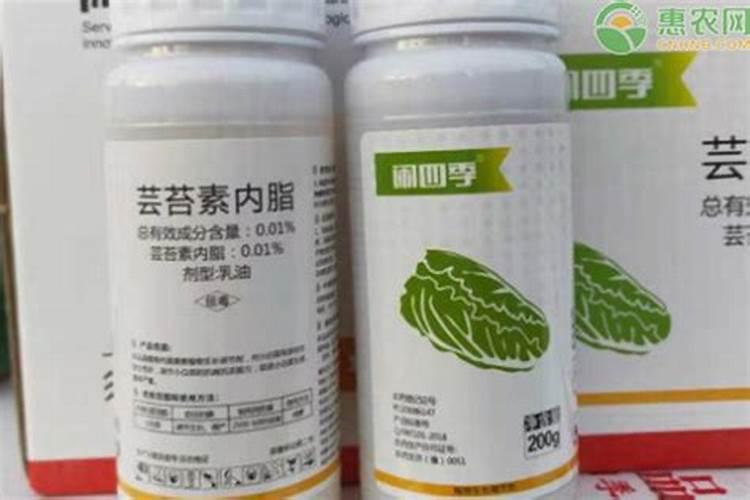 芸苔素在果树上的作用和功效