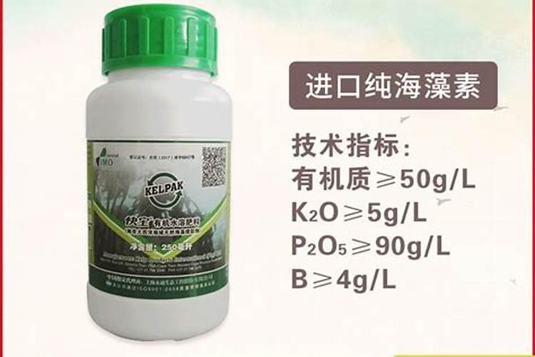 草莓冲施海藻多钱一桶
