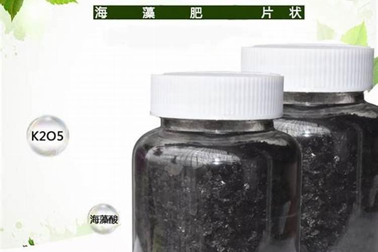 恩宝海藻肥多少钱一袋