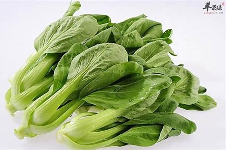 长杜地里的小青菜泛黄是怎么回事？