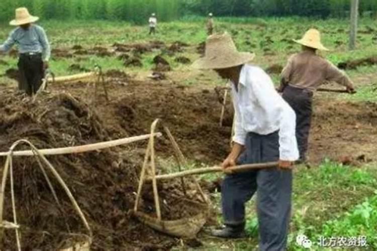 有机肥不能和哪种化肥混用