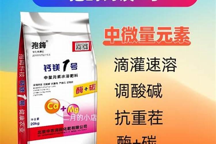 蕃茄田艺术中心怎么样