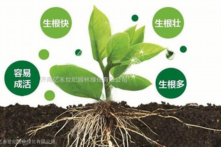 国内氨基酸水溶肥生产厂家有哪些？