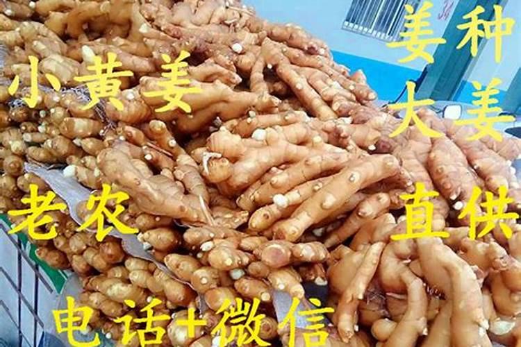 钾肥对烤烟的生长起到什么作用,如何提高钾含量？