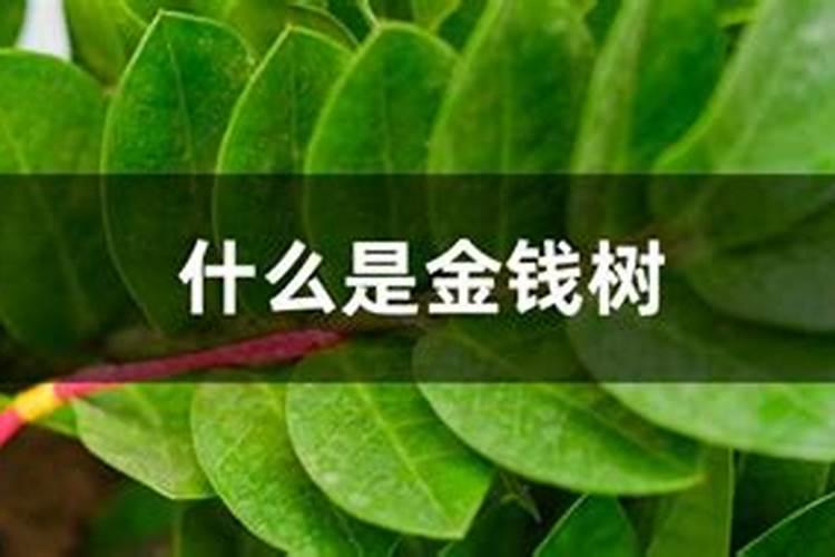 如何自制KCN、 HCN