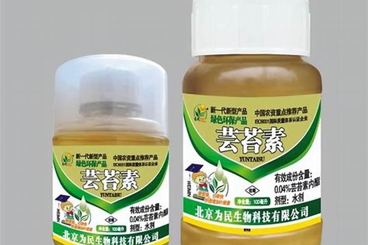 芸苔素叶面肥哪种最好