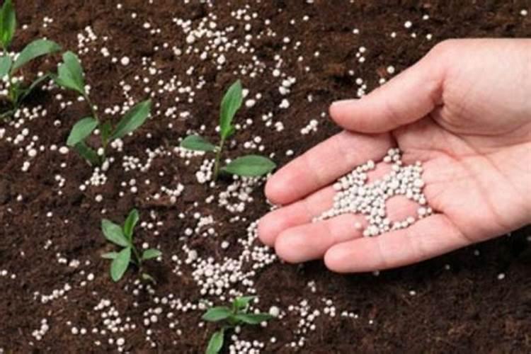 脲铵氮肥的肥效期多长