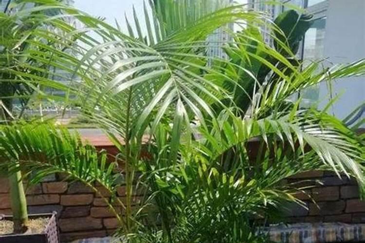 中微量元素与氮肥混用对作物好吗