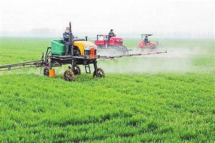 小麦喷了除草剂后几天能施肥