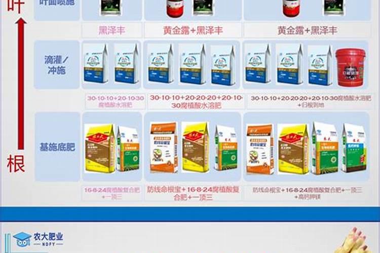 现在大姜用什么膨大剂好一些