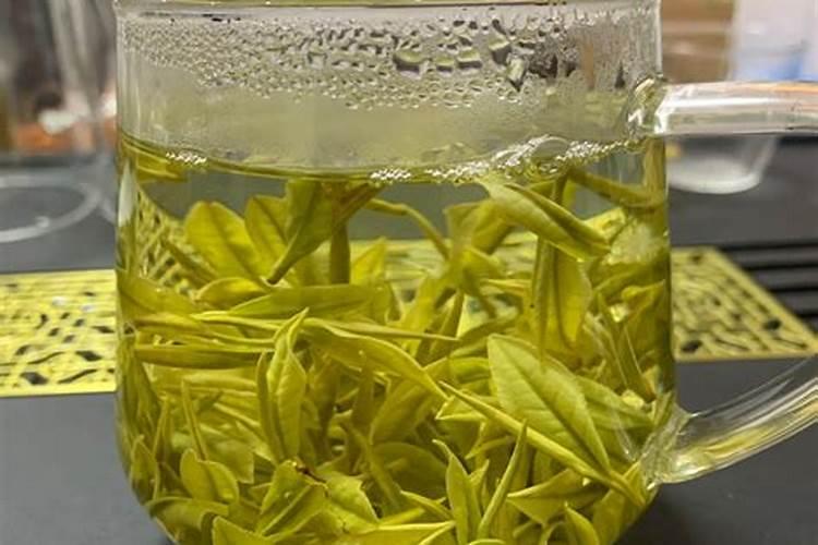 钙肥对花卉的作用？哪些花卉喜钙肥