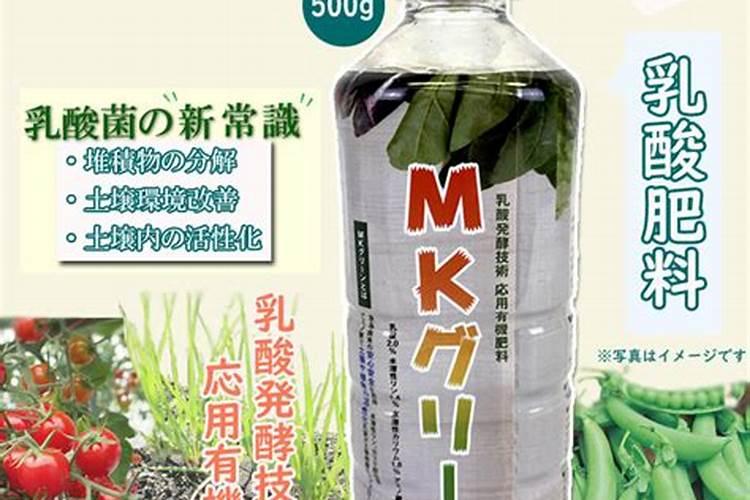 乳酸菌可以发酵鸡粪当肥料吗