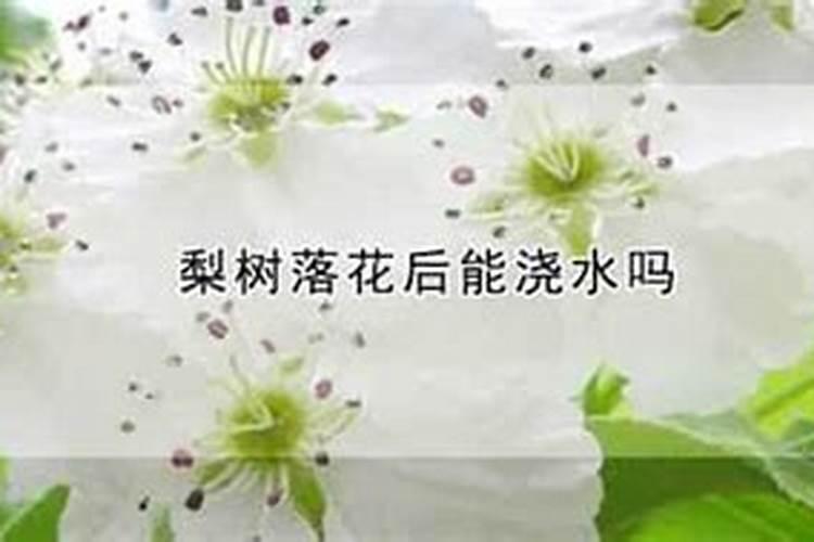 14一羟基芸苔素甾醇与多菌灵浸种万以吗