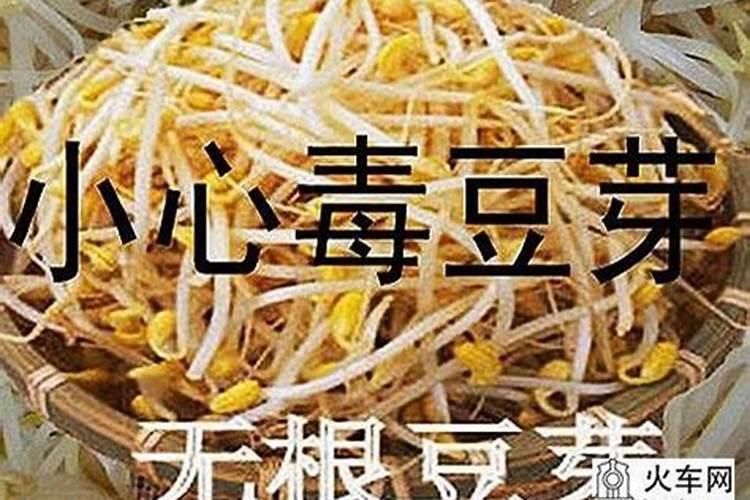 化肥催的豆芽不能买