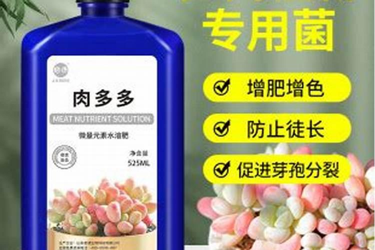 多肉植物是浇营养液还是用肥料？