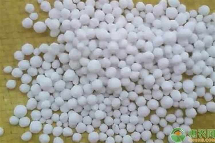 尿素的正确使用方法 化肥尿素的使用有哪些禁忌
