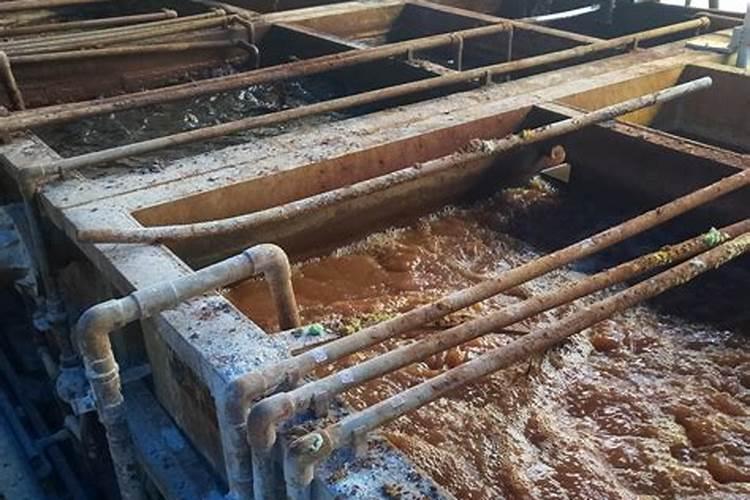 六招教你挣脱氨氮烦恼