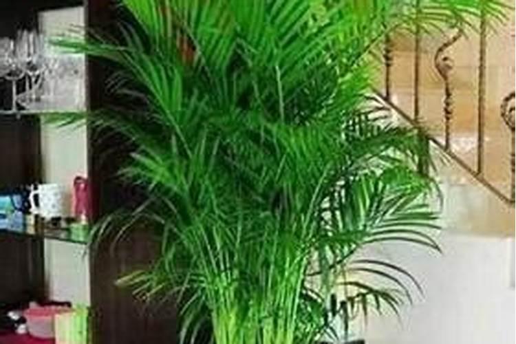 1斤尿素兑水多少斤