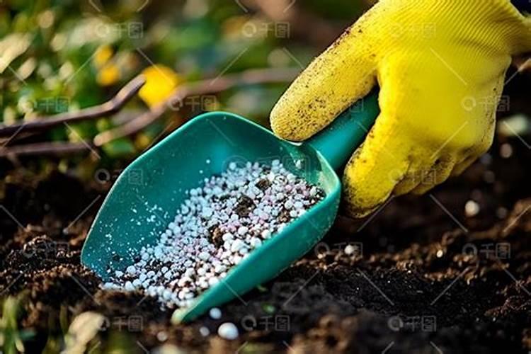 硝酸钾是什么肥料