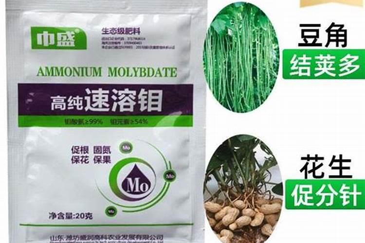 仙客来底肥放什么肥好 底肥施用方法