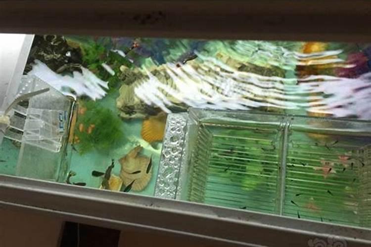 圆粒硼怎么生产的