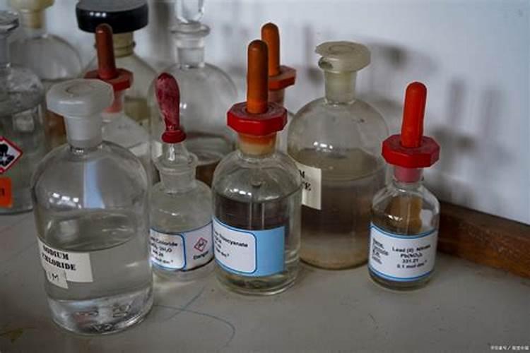 全国各地区大型苗木交易市场行情分析!