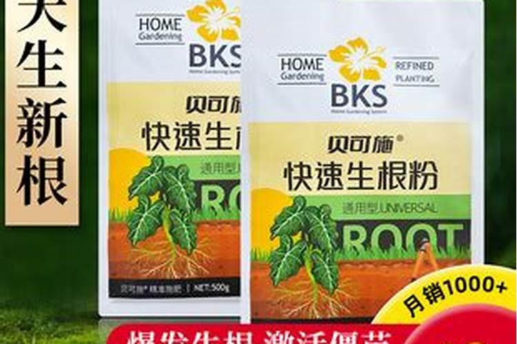 贝可施和彩乐植鱼蛋白哪个好