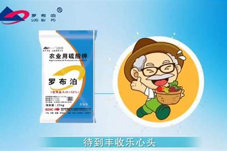 怎样区分氮肥和磷肥和钾肥