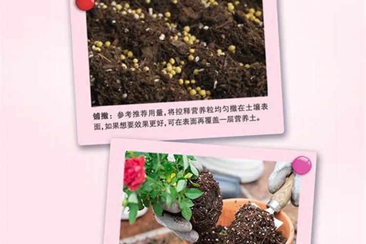 颗粒状的复合肥埋入土中可以吗？