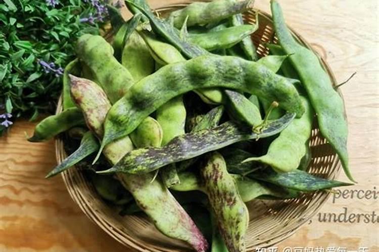 你了解钙肥吗,钙肥怎么选？什么时候用？怎么用？