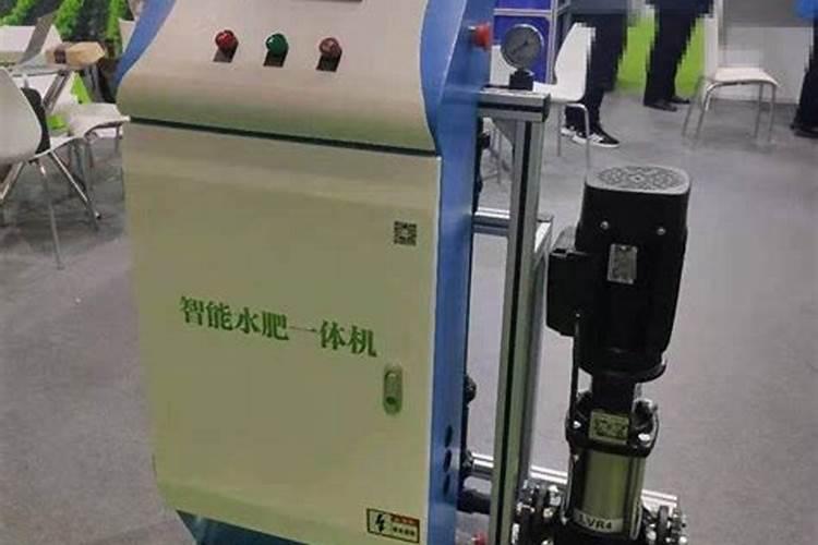 陕西有哪些特色水果