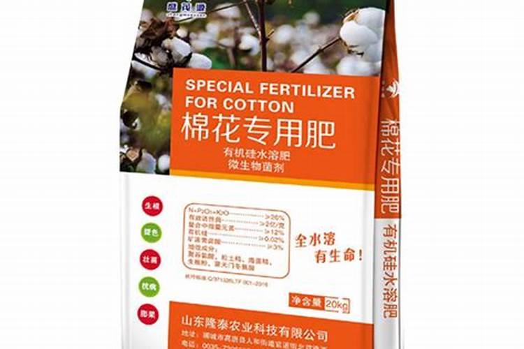 种植毛竹的肥料多少钱一吨