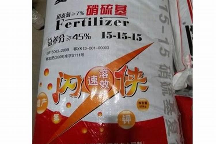 盆栽桔子树叶子发黄怎么办