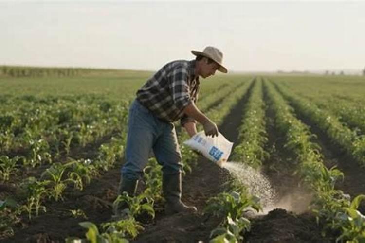 巴斯夫欧帕主要是什么成份？