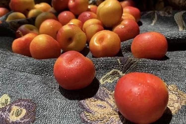 快要成熟的桃子出现裂口情况怎么去应对