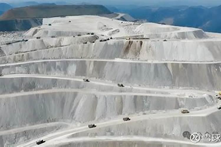 果树专用肥有哪几种,肥料烧根的补救办法