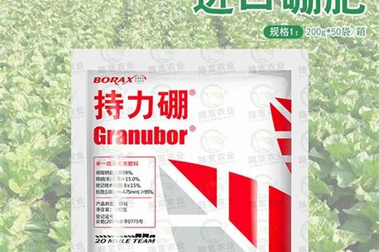 梨树用什么肥料最好