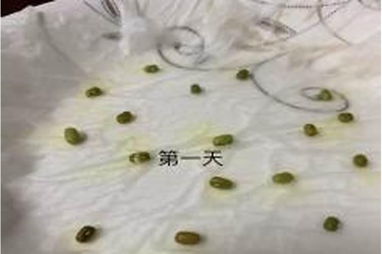 幼儿园经典小故事3分钟(十篇)